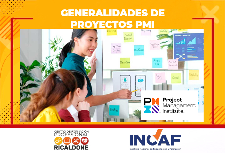 CFP24-INCAF27 Generalidades de proyectos PMI